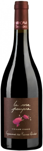 Вино La Rose Pourpre, Beaujolais Vielles Vignes AOP, 2020