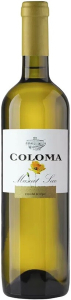 Вино "Coloma" Muscat Blanco Joven