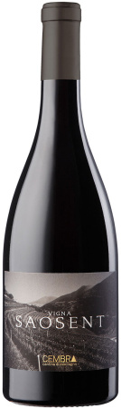 Вино Cembra Cantina di Montagna, "Vigna Saosent" Pinot Nero, Trentino DOC, 2016