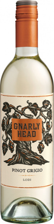 Вино "Gnarly Head" Pinot Grigio, 2019